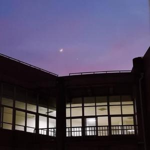 国内丝袜日B做爱网站
