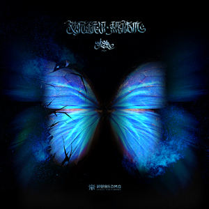 国内丝袜日B做爱网站
