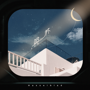 国内丝袜日B做爱网站
