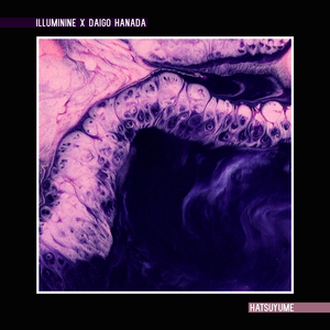 国内丝袜日B做爱网站
